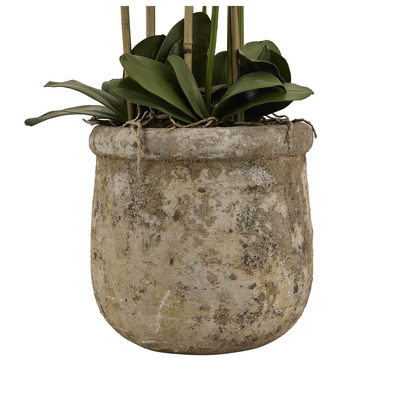 Floor Standing Large Stone Potted Orchid