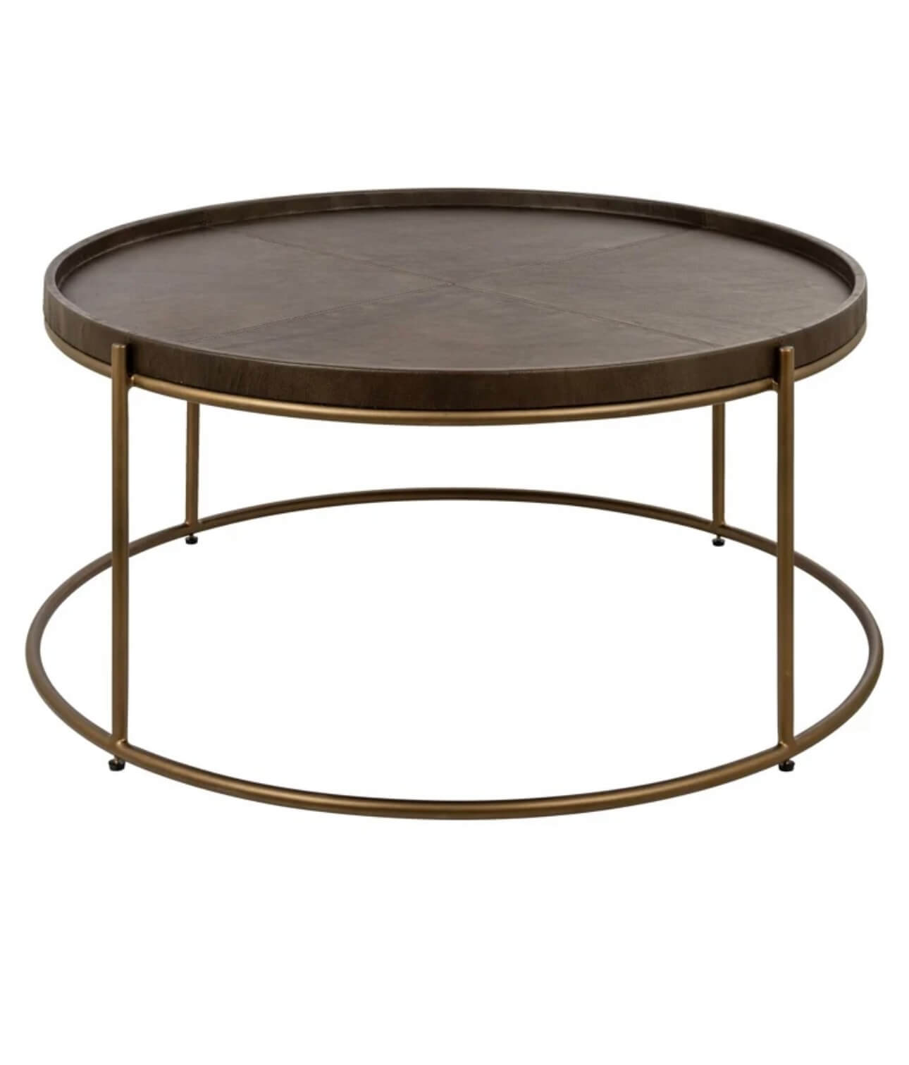 Luxe Brown Brass Coffee Table
