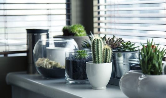 The Benefits of Good Ventilation: How It Can Keep Your Home Healthy and Happy