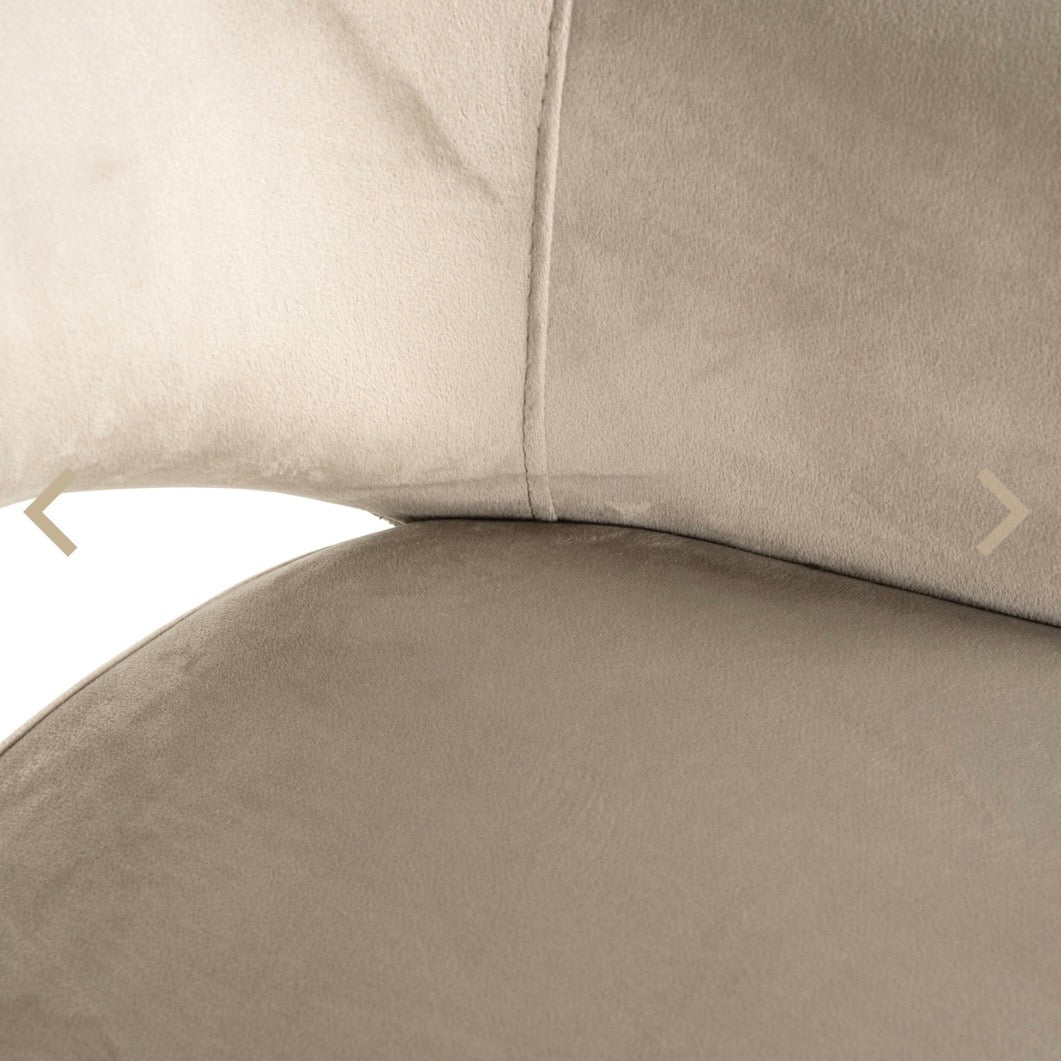 Ritz Arm Dining Chair