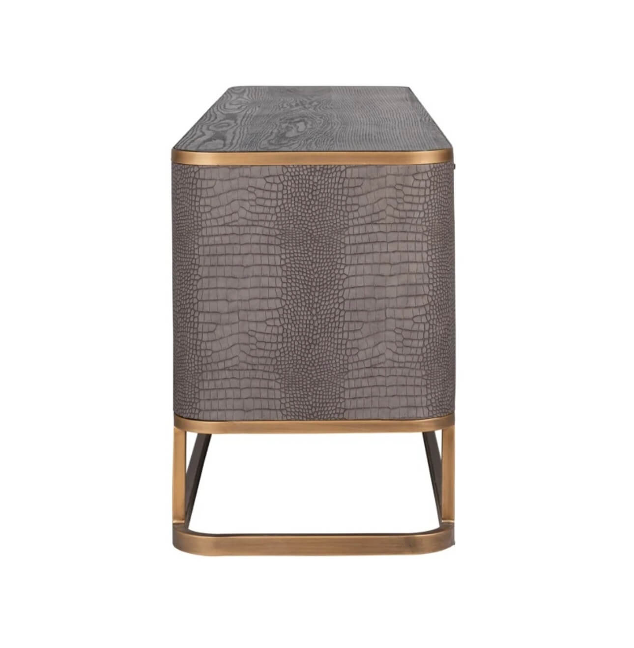 Brushed Gold Textured Media Unit
