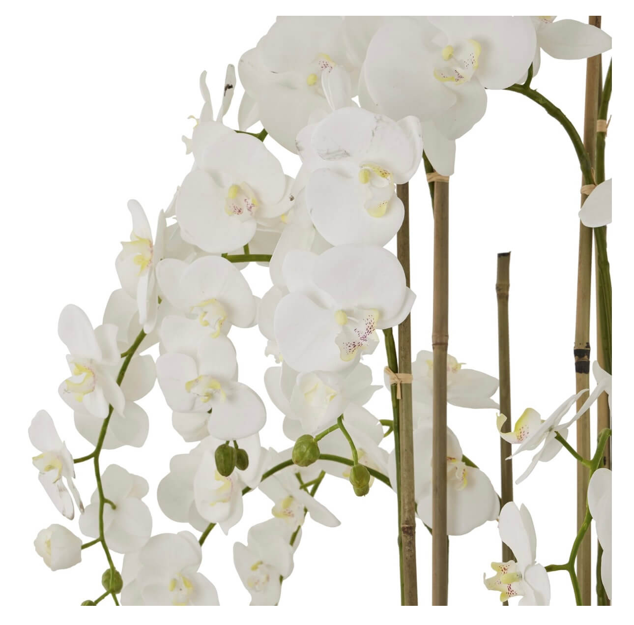 Floor Standing Large Stone Potted Orchid