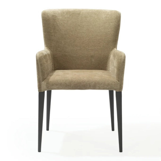 Varsi Dining Chair - Set of 2 - Olive
